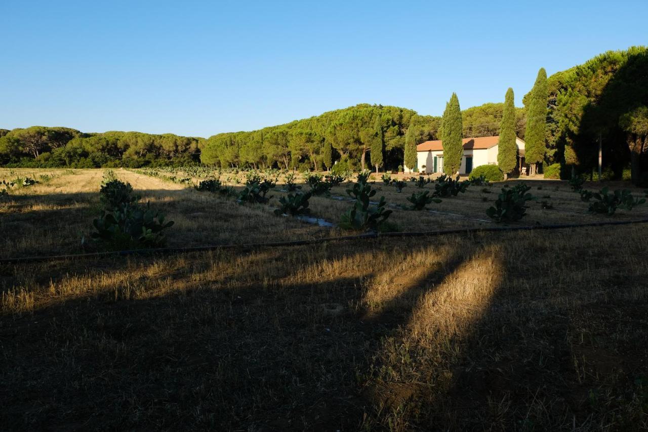 Residence La Canova II Marina di Grosseto Exterior photo