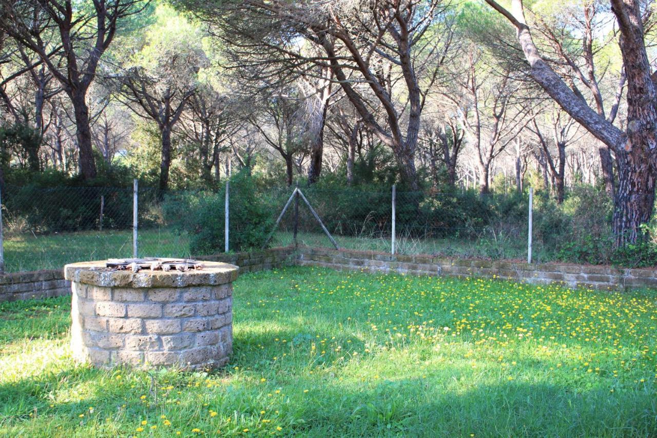 Residence La Canova II Marina di Grosseto Exterior photo