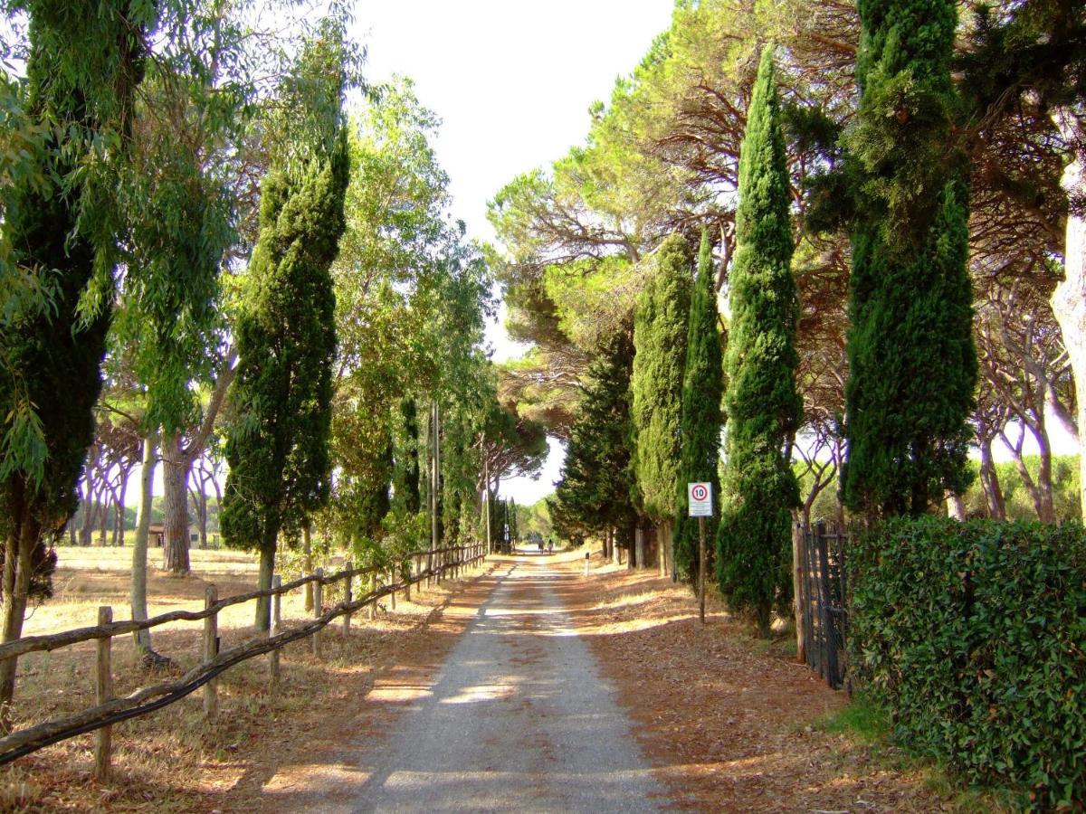 Residence La Canova II Marina di Grosseto Exterior photo